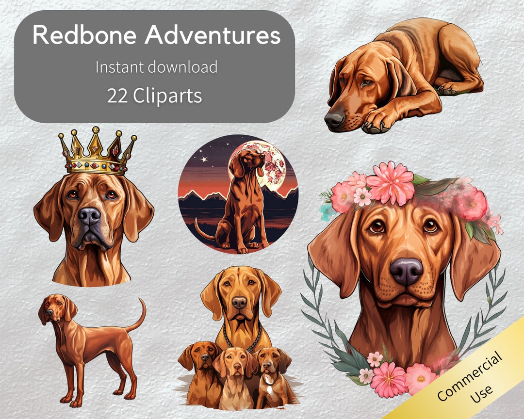 Redbone Adventures 22 Cliparts Redbone Coonhound Charming Moments ...