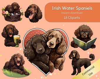 Irisches Wasser Spaniel Cliparts Bundle, irische Hunde Cliparts Kunst Wasser Spaniel Charme, Irish Water Spaniel Sofort-Download Cliparts Spaniel PNGs