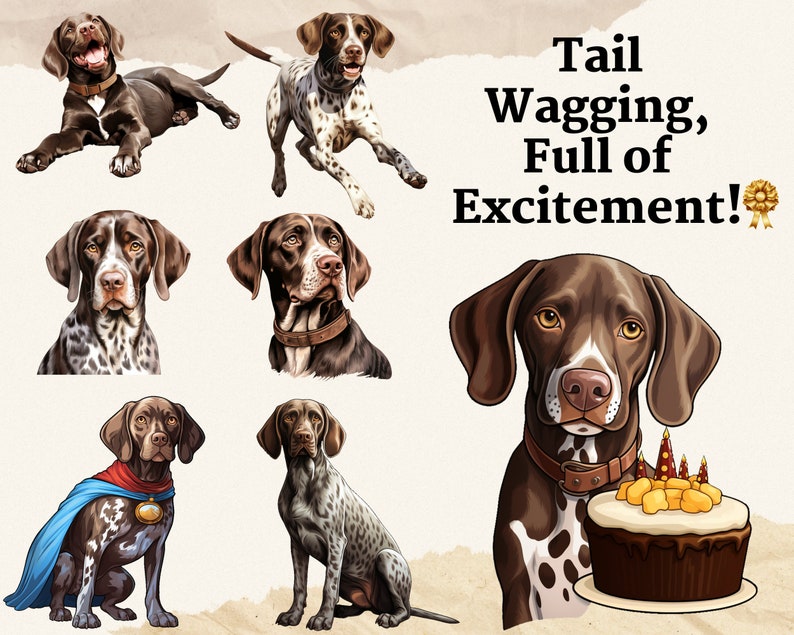 May include: A brown and white German Shorthaired Pointer dog with a happy expression. The dog is wearing a brown leather collar and is surrounded by a light brown background. The text "Tail Wagging, Full of Excitement!" is written in black text on a white background.