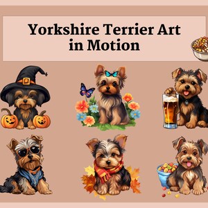 Pu&ograve; includere: Sei illustrazioni di Yorkshire Terrier in varie pose. Un cane indossa un cappello da strega, un altro indossa occhiali da sole, un altro indossa una sciarpa, un altro tiene un bicchiere di birra, un altro tiene una ciotola di cibo per cani e un altro indossa una farfalla sulla testa.