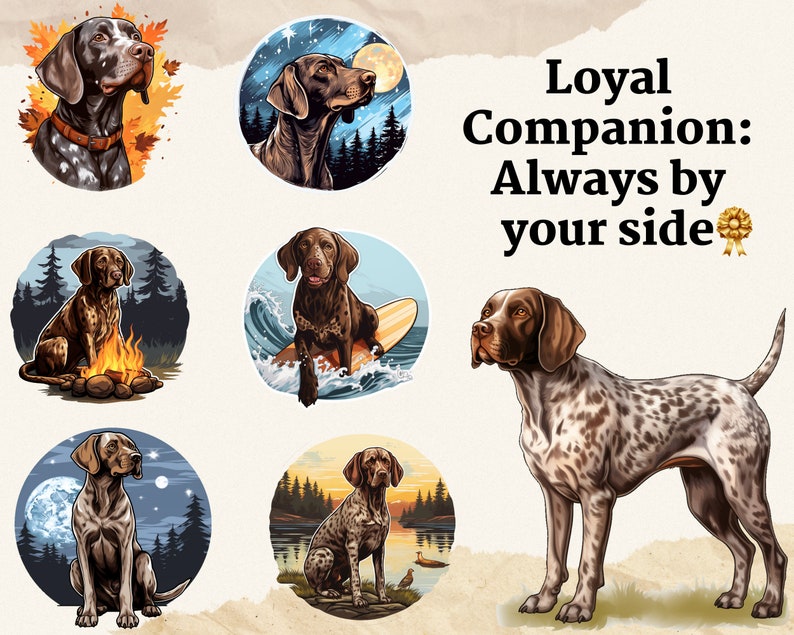 May include: A brown and white German Shorthaired Pointer dog in various settings. The dog is shown in a forest, on a surfboard, by a campfire, and in a field. The text "Loyal Companion: Always by your side" is displayed above the dog.