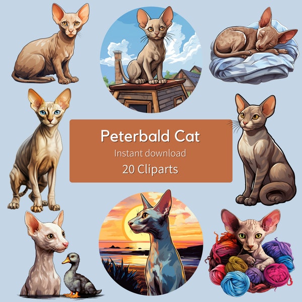 Peterbald Cat Clipart Bundle Cat Portraits Digital Art Transparent Background Peterbald Cat Wall Art Download Cat Breed Clipart Cat Lover