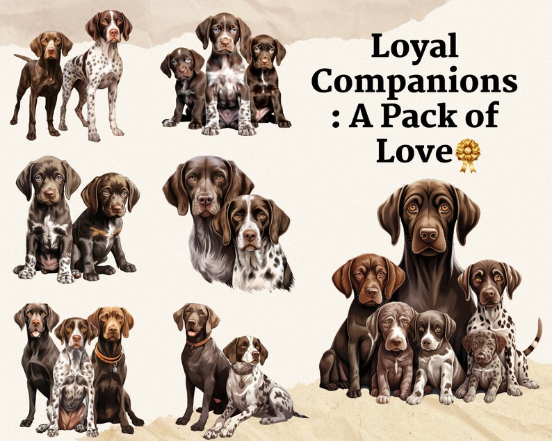 May include: A digital painting of a group of German Shorthaired Pointer dogs. The dogs are brown and white with black noses and eyes. The dogs are in different poses, some are sitting, some are standing, and some are looking at the camera. The text "Loyal Companions: A Pack of Love" is written in black letters on a white background.