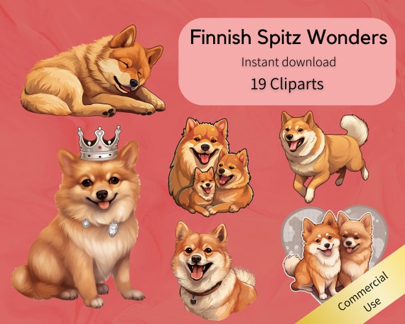 Cute hairy cheap puppies