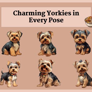 Pu&ograve; includere: Sei adorabili Yorkshire Terrier in varie pose, tra cui seduti, in piedi e che guardano la telecamera. I cani sono tutti marroni e neri con il pelo lungo. L'immagine ha il testo "Charming Yorkies in Every Pose" in alto.