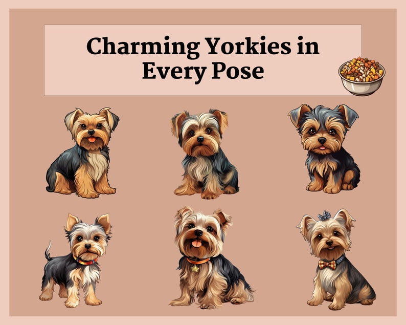 Pu&ograve; includere: Sei adorabili Yorkshire Terrier in varie pose, tra cui seduti, in piedi e che guardano la telecamera. I cani sono tutti marroni e neri con il pelo lungo. L'immagine ha il testo "Charming Yorkies in Every Pose" in alto.