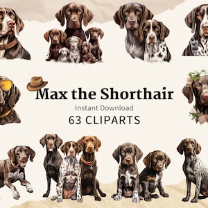Puede incluir: Un conjunto de 63 imágenes de clipart digitales que presentan a un perro Braco Alemán de Pelo Corto marrón y blanco en varias poses. El perro lleva gafas de sol, un sombrero y una corona de flores. El texto "Max the Shorthair" y "63 CLIPARTS" está incluido en la imagen.