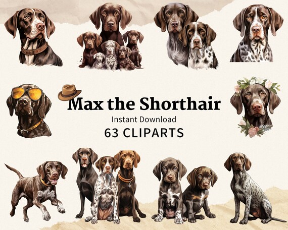 63 German Shorthaired Pointer Clipart Pack PNGs for Dog Enthusiasts Hunting Dog Stickers for Scrapbooks Printable Design Elements Invitation