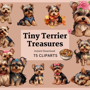 75 cliparts PNG amusants pour le yorkshire terrier