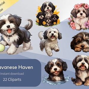 Havanese Haven 22 Cliparts Harmony Charming Collection Compañero sedoso Junto a la piscina Floral adornado Furbabie Sunset Bouquet Bouncy Dog Buddies