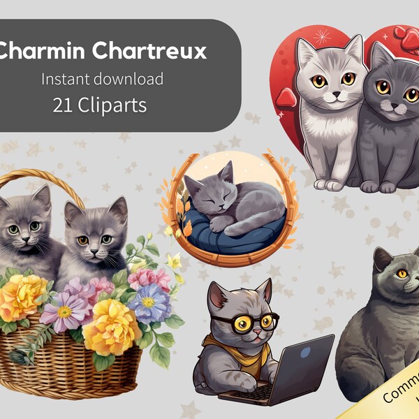 21 Chartreux Cat Clipart PNG Bundle Cute Watercolor Cat Clipart PNG Chartreux Cat Pack Cute Kitten PNGs Instant Download Cat Bundle Pack