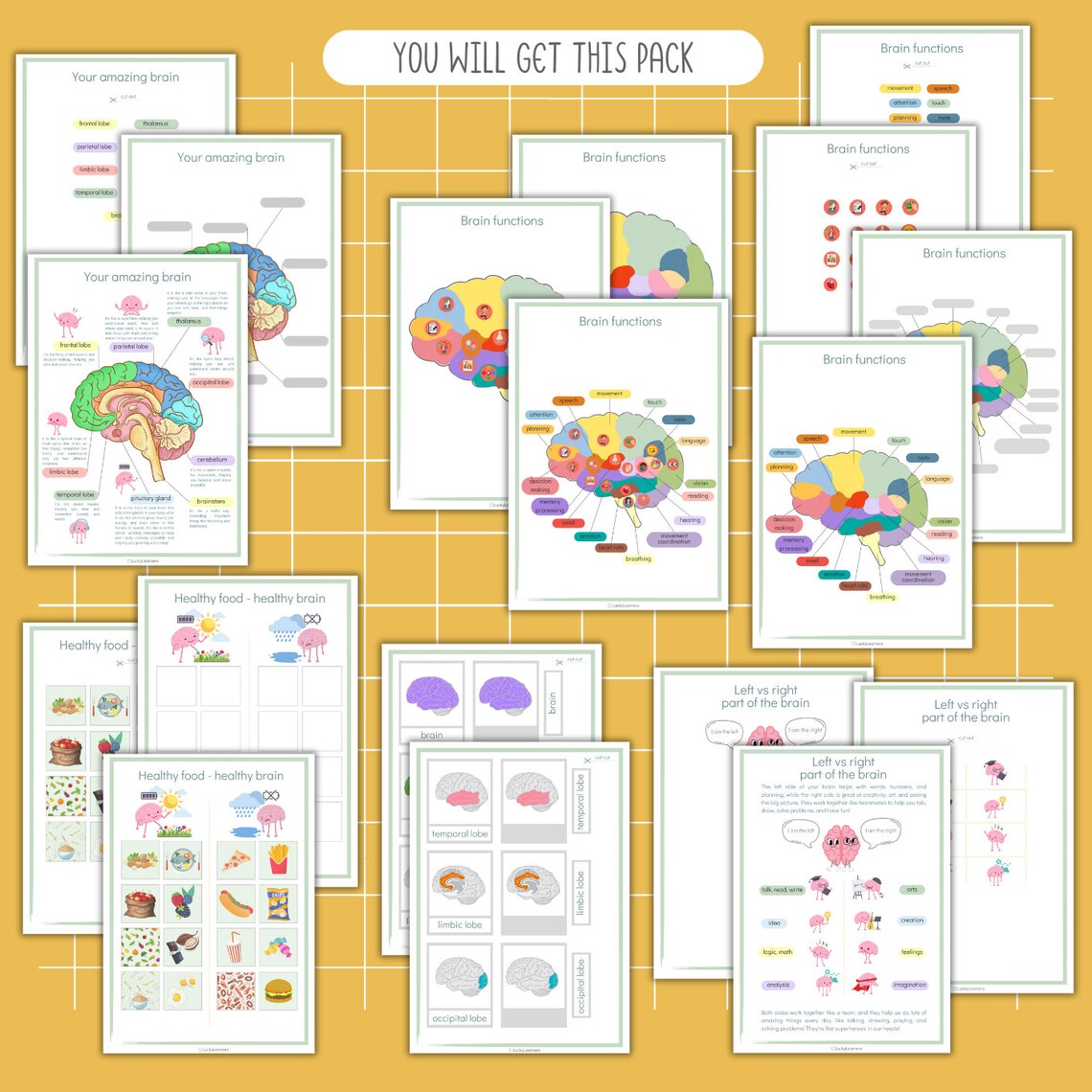 Human Brain Anatomy, Brain Parts Matching, Printable Preschool Science ...