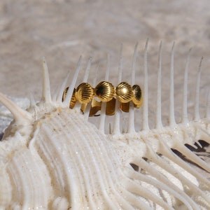 Seashell Gold Ring, 18K Plated, Waterproof Beach Jewelry, Cockle Shell, Surfer Ring, Size 6-8, Dainty Ring, Hypoallergenic, Boho