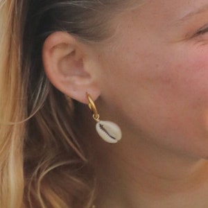 Cowrie Shell Earrings, Waterproof 18k Gold Hoops, Ocean Jewelry, Nature Huggies, Reef Beach Earrings, Hypoallergenic Earrings, Come in Pairs