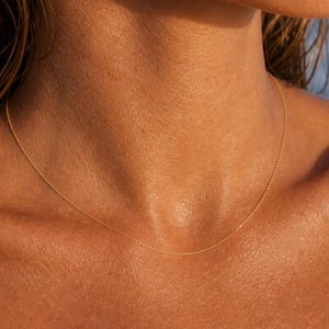 May include: A delicate gold chain necklace resting on a person's skin. The necklace is thin and simple, reflecting the light. The skin has a warm, sun-kissed tone, and the background is blurred.