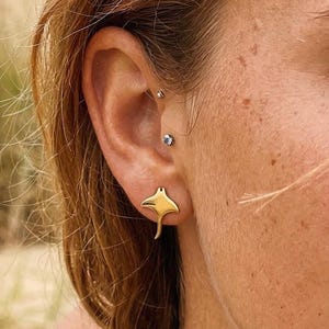 Pode incluir: Brincos dourados em forma de arraia. Os brincos são usados na orelha. O fundo mostra uma praia com areia, relva e o oceano.