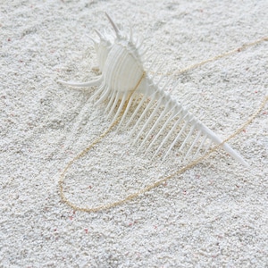 May include: A delicate gold necklace with small beads rests on white sand, draped over a white seashell. The seashell has a spiky, textured surface. The scene evokes a beach or coastal theme.