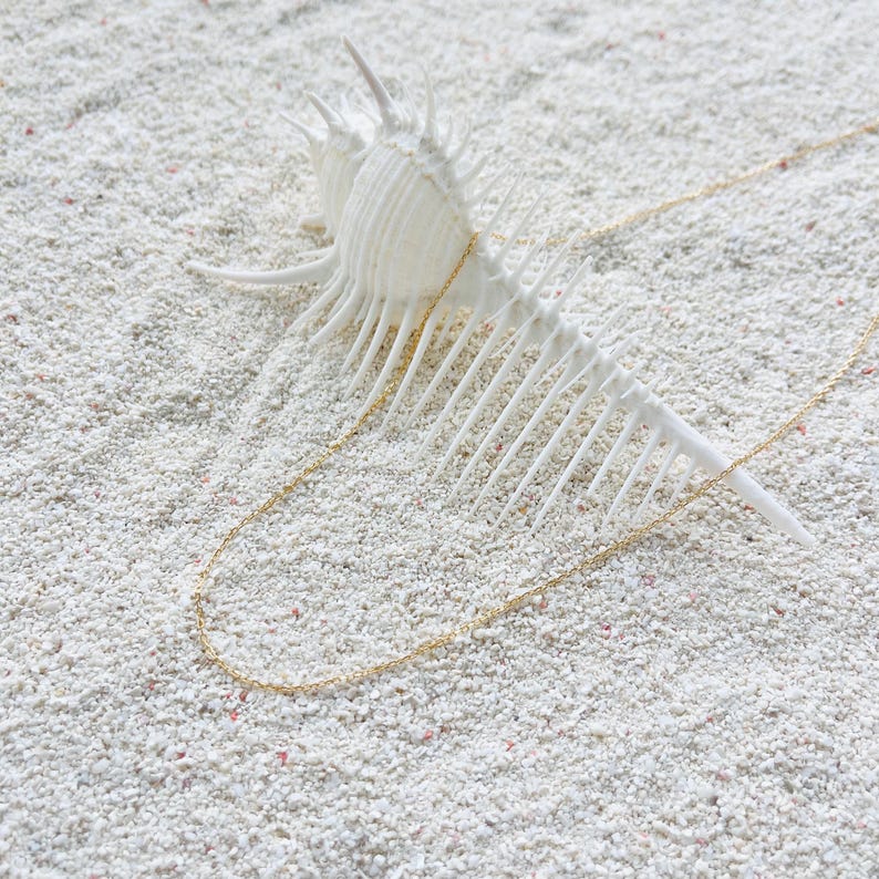 May include: A delicate gold necklace with small beads rests on white sand, draped over a white seashell. The seashell has a spiky, textured surface. The scene evokes a beach or coastal theme.