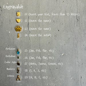 K&ouml;nnte beinhalten: Eine Tabelle mit verschiedenen Gravuroptionen f&uuml;r Schmuck. Die Optionen umfassen Text, Namen, Initialen, Geburtssteine, Sternzeichen, Zahlen und Buchstaben. Die Tabelle befindet sich auf einem grauen, strukturierten Hintergrund.