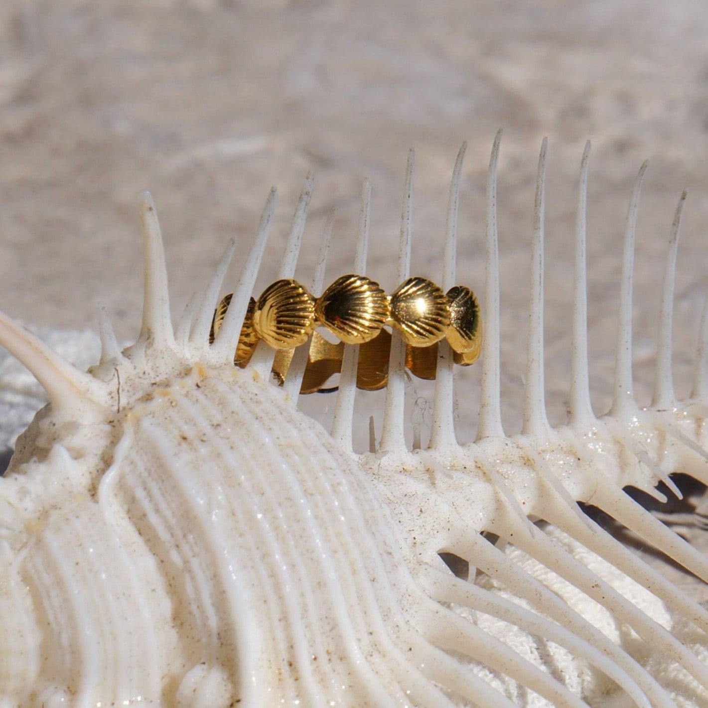 Seashell Gold Ring, 18K Plated, Waterproof Beach Jewelry, Cockle Shell, Surfer Ring, Size 6-8, Dainty Ring, Hypoallergenic, Boho
