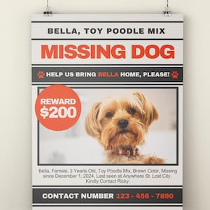 Missing Dog Flyer Poster Template, DIY Missing Pet Sign, Lost Pet Flyer, Dog Warning Sign, Lost and Found Pets Poster, Wanted Poster