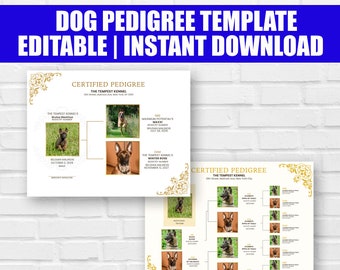 Hund Stammbaum Diagramm, druckbare Stammbaum Zertifikat, Welpen Stammbaum, Züchter Vorlagen, Züchter Welpen Paket, Haustier Zertifikat Vorlage