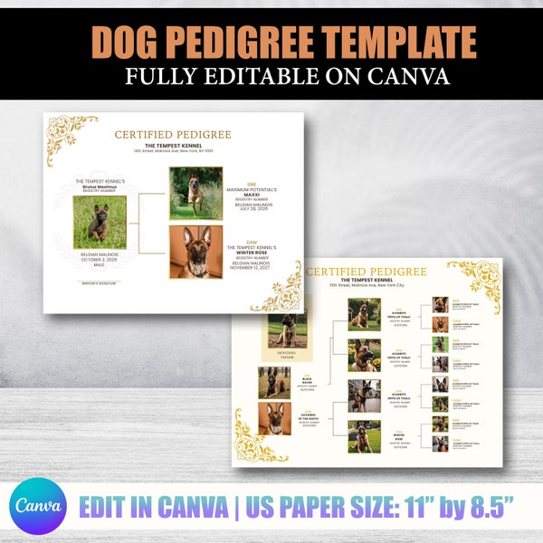 Dog Pedigree Chart, Printable Pedigree Certificate, Puppy Pedigree, Breeder Templates, Breeder Puppy Pack, Pet Certificate Template