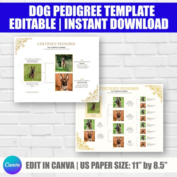 Hund Stammbaum Diagramm, druckbare Stammbaum Zertifikat, Welpen Stammbaum, Züchter Vorlagen, Züchter Welpen Paket, Haustier Zertifikat Vorlage