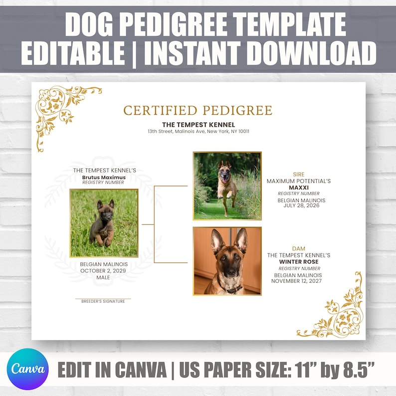 Dog Pedigree Chart, Printable Pedigree Certificate, Puppy Pedigree ...