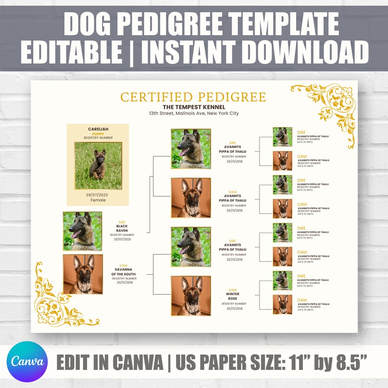 Dog Pedigree Chart, Printable Pedigree Certificate, Puppy Pedigree ...