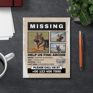 DIY Missing Pet Poster Template: Lost Dog Flyer (Digital Download)