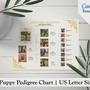 Dog Pedigree Chart, Printable Pedigree Certificate, Puppy Pedigree, Breeder Templates, Breeder Puppy Pack, Pet Certificate Template