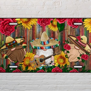 Hispanic Heritage month gnomes license plate png sublimation design download, license plate png, Latino countries png, sublimate download