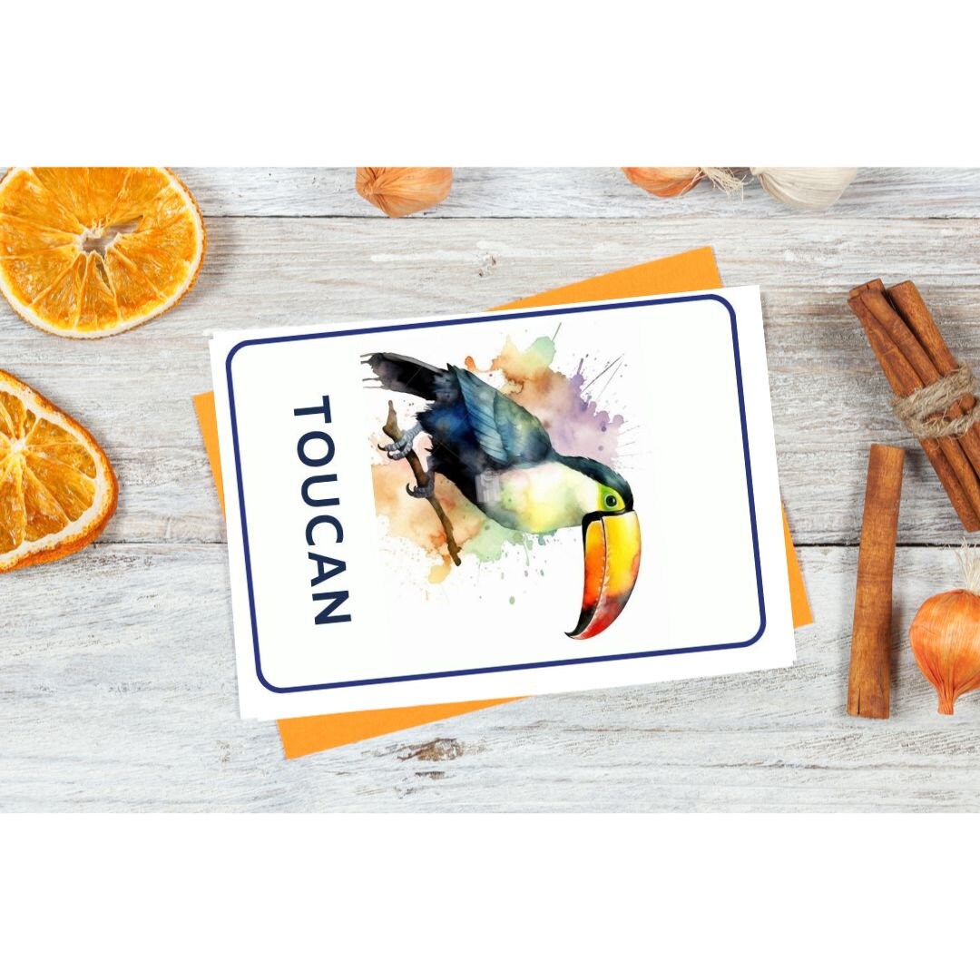 32 Birds Printable Flashcards Toddlers Image Cards for Kids Printable 32 Birds Printable Flashcards Toddlers Image Cards for Kids Printable