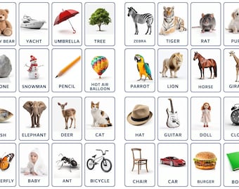 32 Living & Non Living Things Flashcards, Kids Printable, Nomenclature Cards, Toddler Activity, Montessori Cards, Cards for Preschool