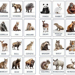 32 Forest Animals flashcards, kids printable, Nomenclature Cards, toddler activity, Montessori cards, cards for preschool, fruit cards