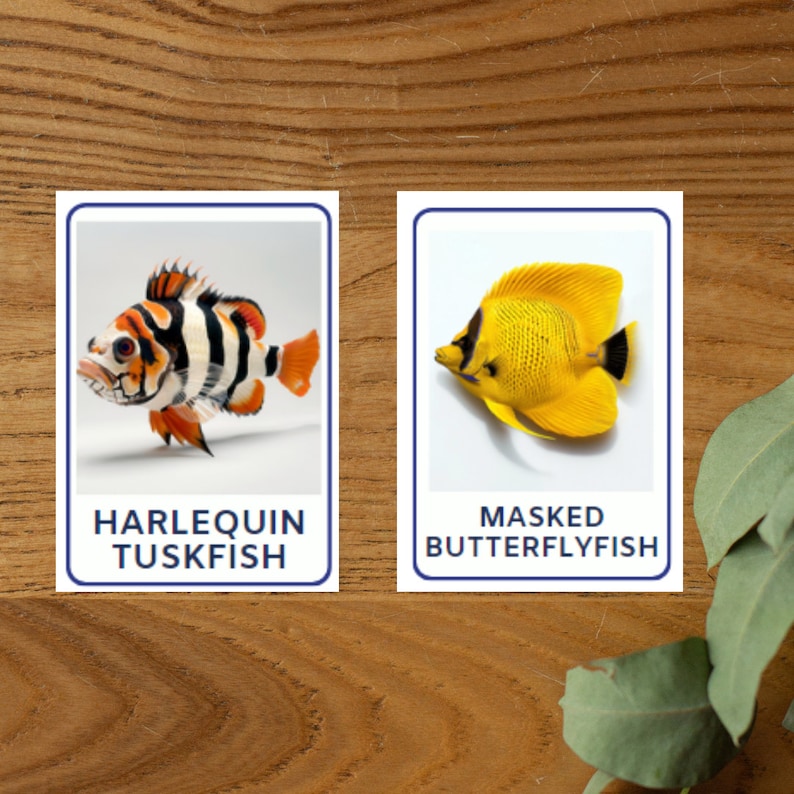 Perfectly Adorable, 32 Fish Species Flashcards for Kids and Toddlers ...