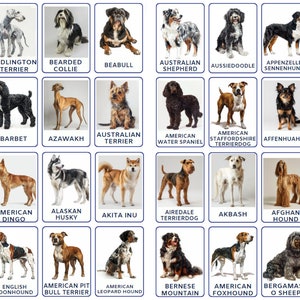 32 schede didattiche in formato PNG sulle specie di cani per bambini e neonati, divertimento ispirato al metodo Montessori per bambini in età prescolare, materiale didattico stampabile.