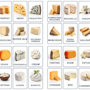 Käse 32 Montessori-Karten, Lernkarten Nomenklatur-Lernkarten Bearbeitbare PDF-druckbare Karten Vorschule, Heimunterricht, Lernmaterial