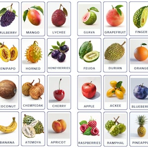 Esplora 32 schede didattiche stampabili sui tipi di frutta, progettate per i bambini, schede stampabili, schede educative, schede didattiche Montessori