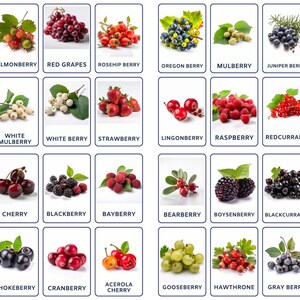 Améliorez l'apprentissage avec les baies Montessori 32 Flashcards, parfaites pour l'école maternelle à la maison, téléchargez maintenant pour des Flashcards Fun Fruits