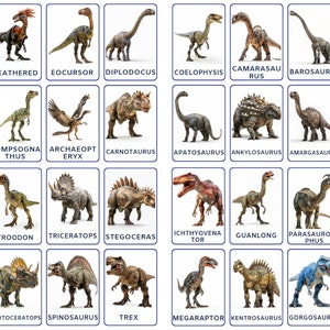 32 Jurassic Dinosaurier Lernkarten, für Kinder ausdruckbar, Nomenklaturkarten, Dinosaurierarten, Montessori-Karten, digitale Karten