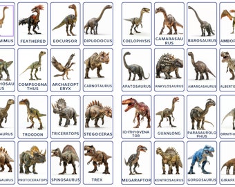 32 Jurassic Dinosaur Flashcards, kids printable, Nomenclature Cards, Dinosaur Species, Montessori cards, Digital cards