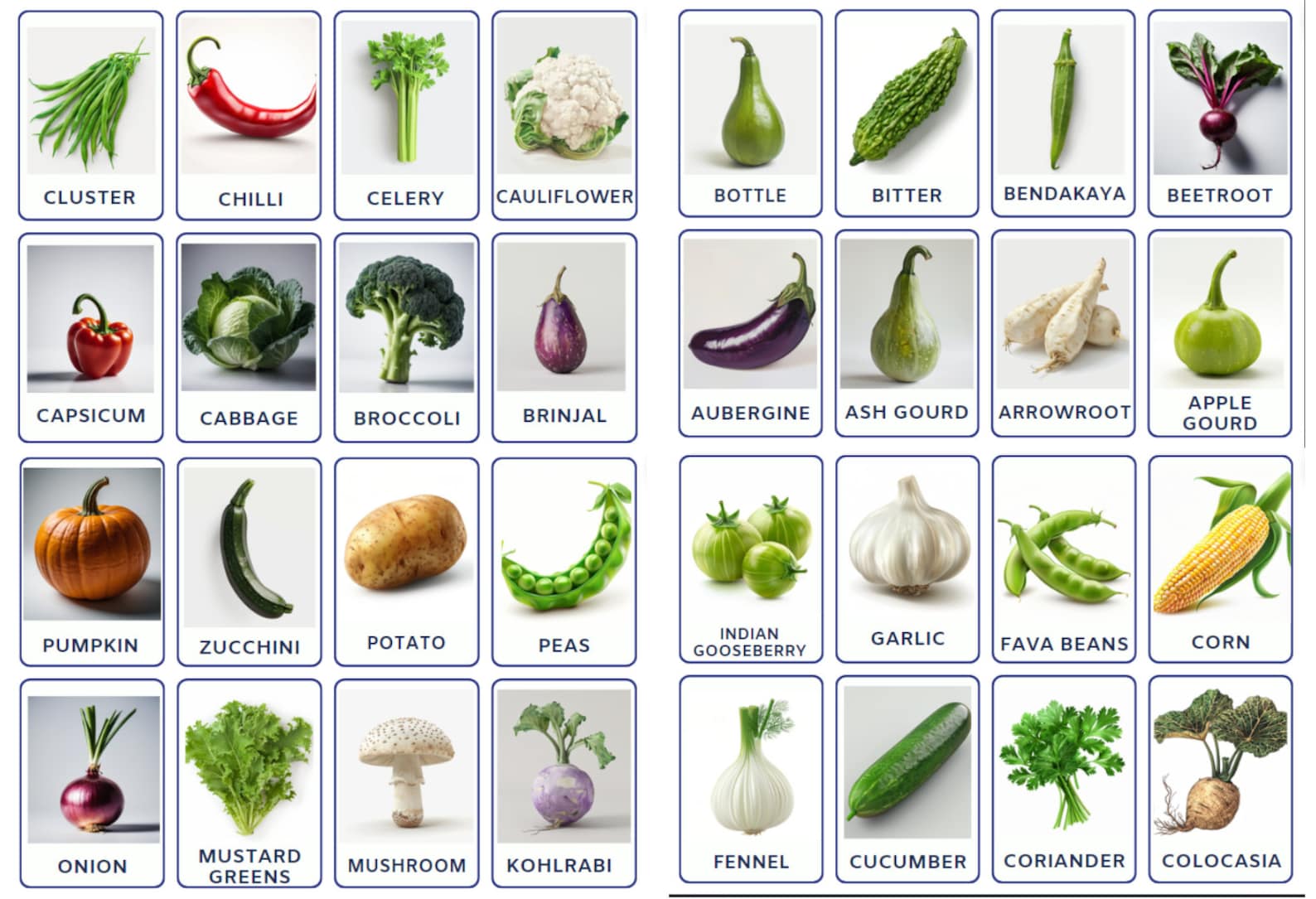 32 Printable Vegetables Types Flashcards Designed for Children Learning ...