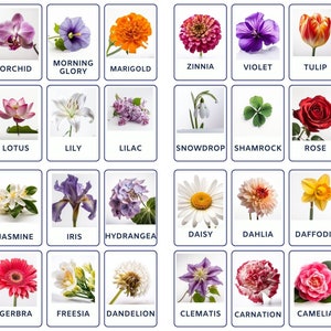32 cartes mémo sur les fleurs, cartes illustrées pour enfants, préscolaires, cartes de nomenclature, activité imprimable, Montessori, fleurs pour enfants, imprimable