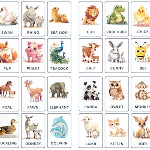 Introduce Baby Animals With 32 Printable Flash Cards, Mix and Match, Fun, Educational, and Engaging Learning Tool for Kids, Early Education