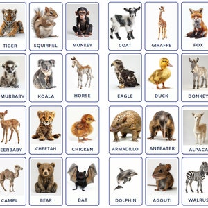 32 Baby Animals Flashcards Designed for Children, Toddler Activity, Montessori Cards, Jungle Animals, Nomenclature Flash Cards