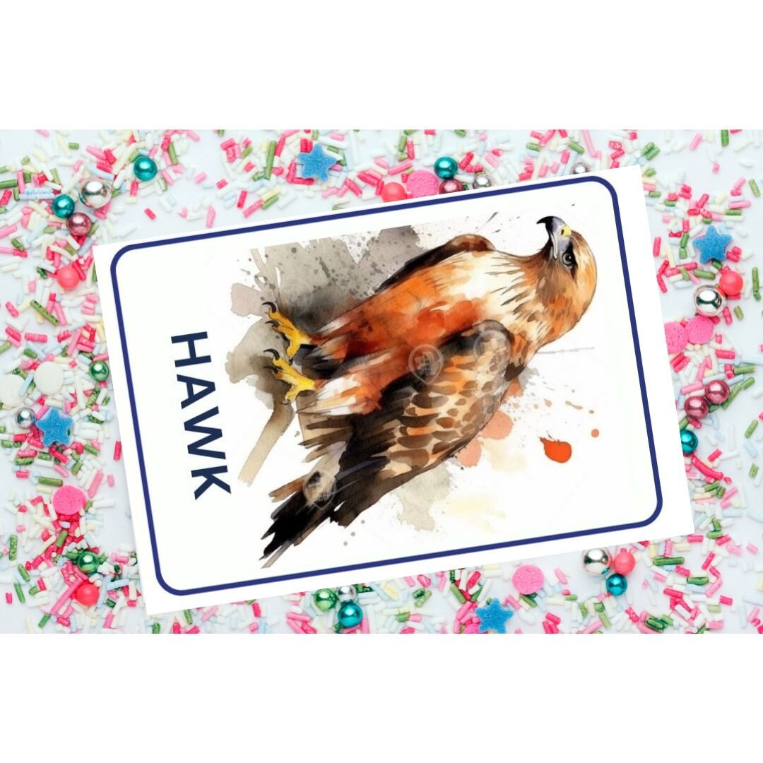 32 Birds Printable Flashcards Toddlers Image Cards for Kids Printable 32 Birds Printable Flashcards Toddlers Image Cards for Kids Printable