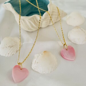 Conch Shell Set Natural Conch Shell Set - Etsy