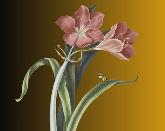 Imágenes prediseñadas de flores silvestres / Plantas, Ilustración digital, Diseño floral, Fondo floral
